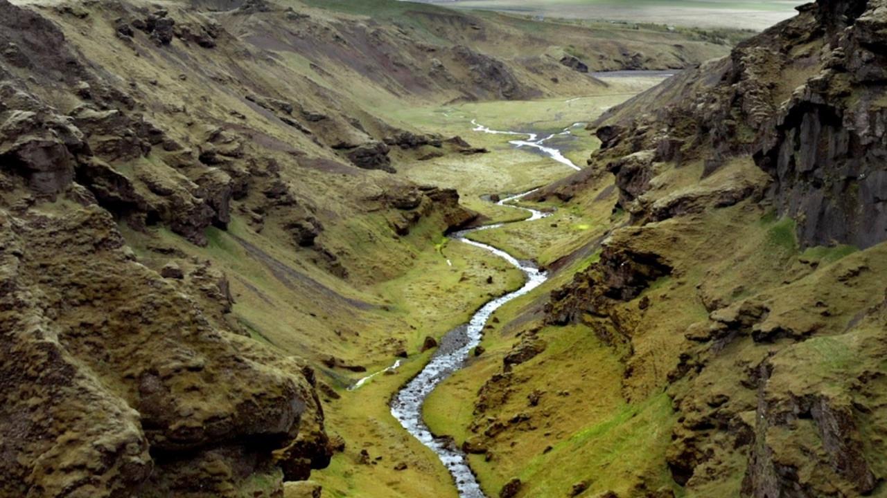 Terre, Les Forces du Vivant