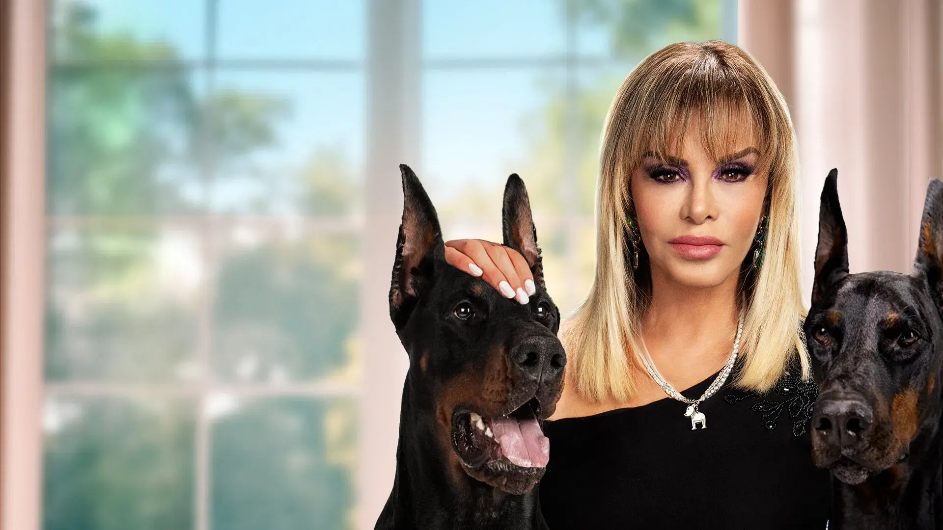 Melhor Viúva Do Que Mal Acompanhada