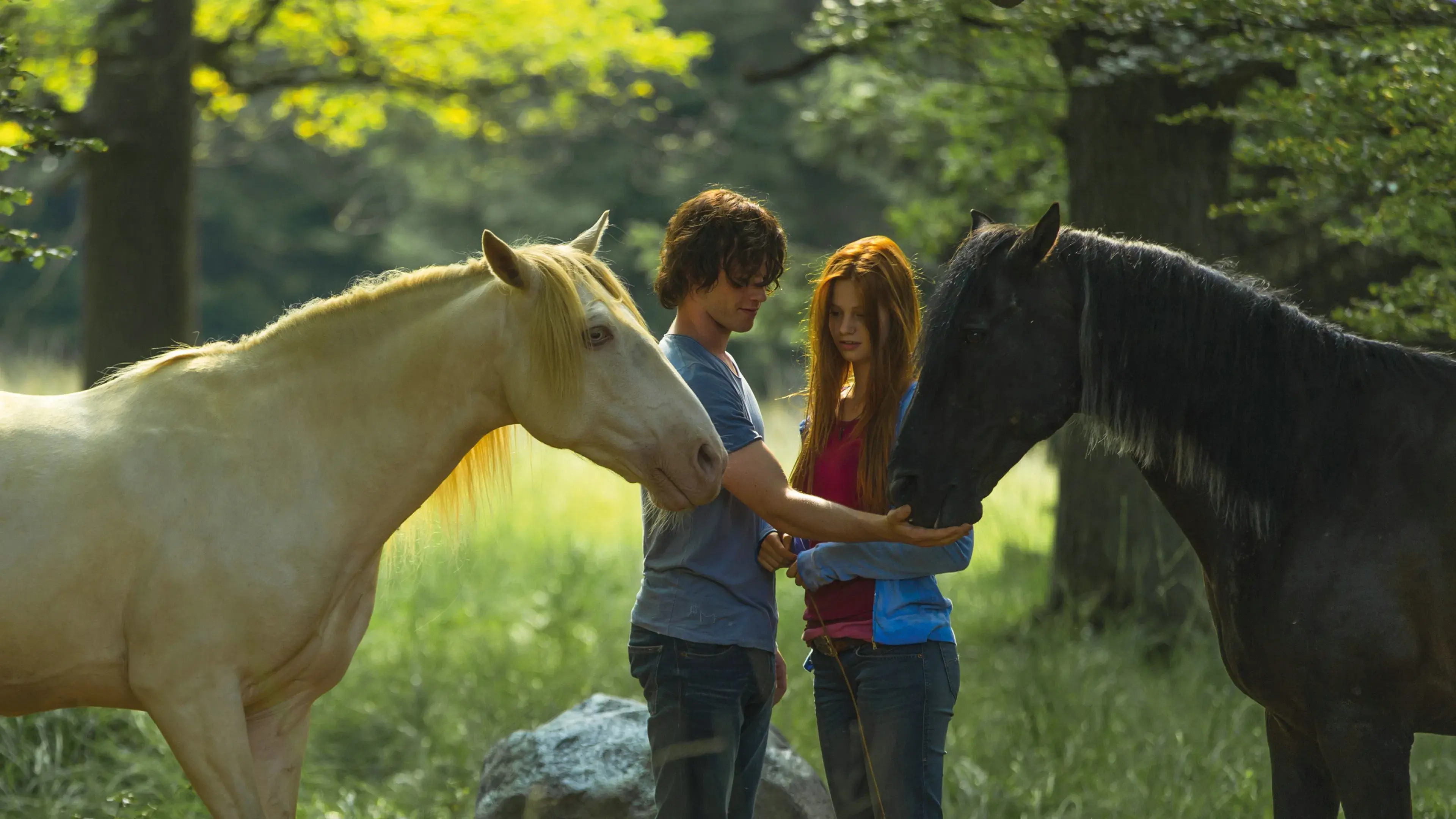 Livres Como o Vento 2