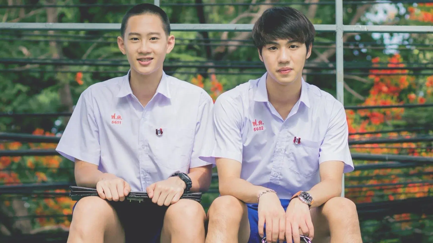 Love Sick  - The Series