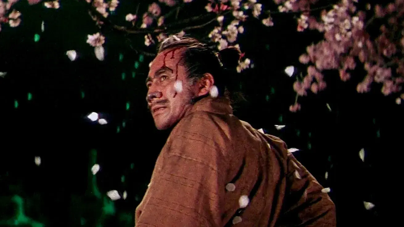 或る剣豪の生涯