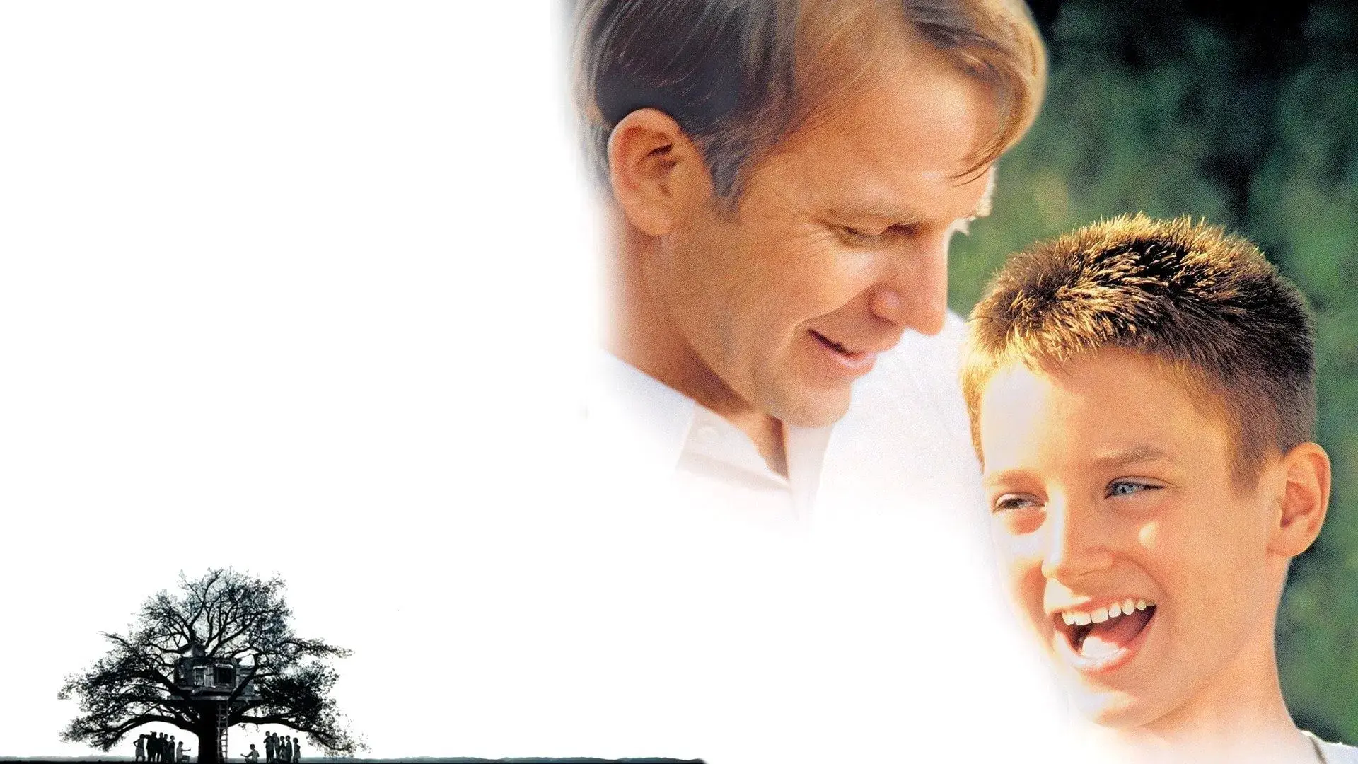 A Árvore dos Sonhos