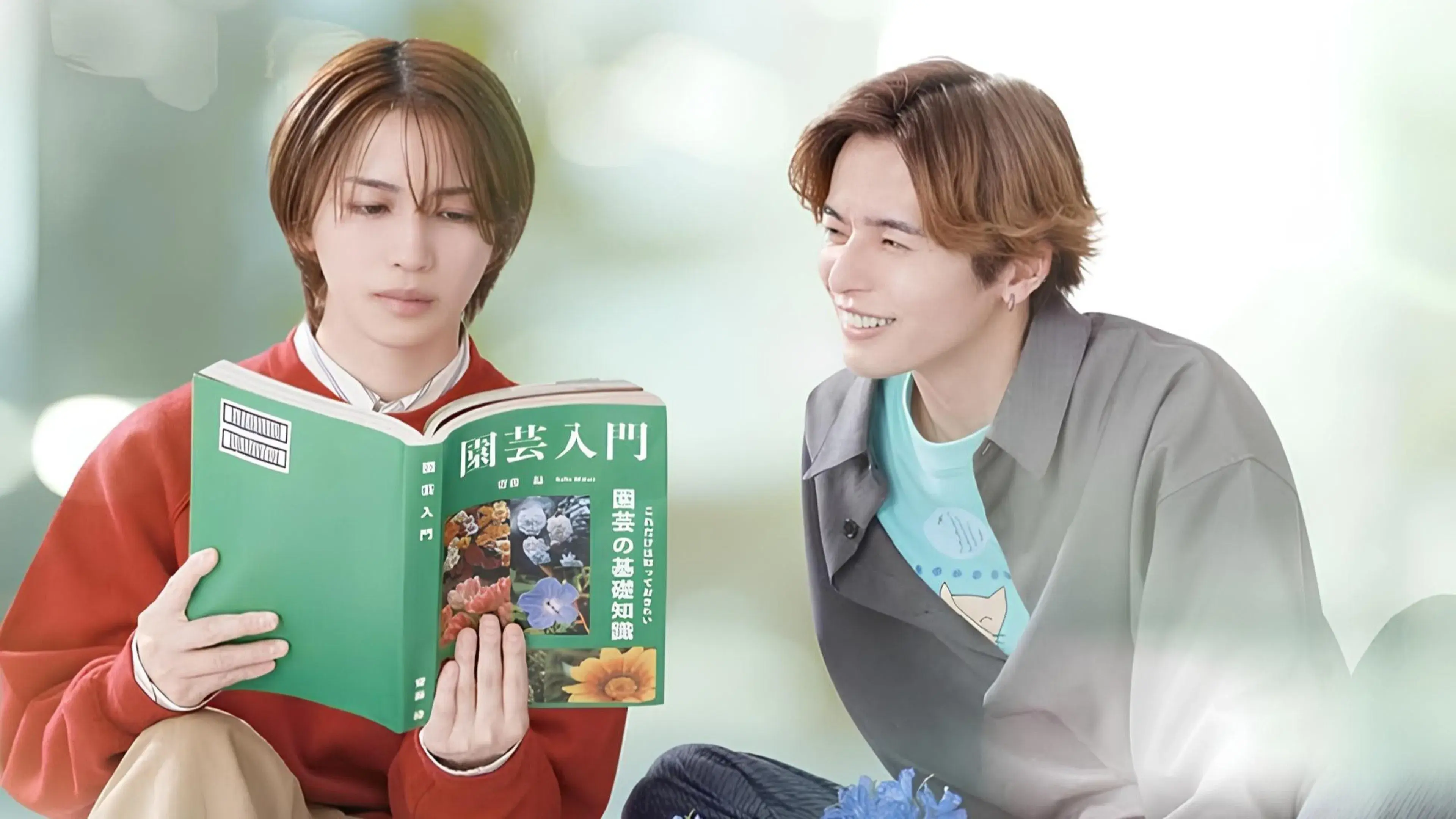 A Maneira Correta de Escrever Amor