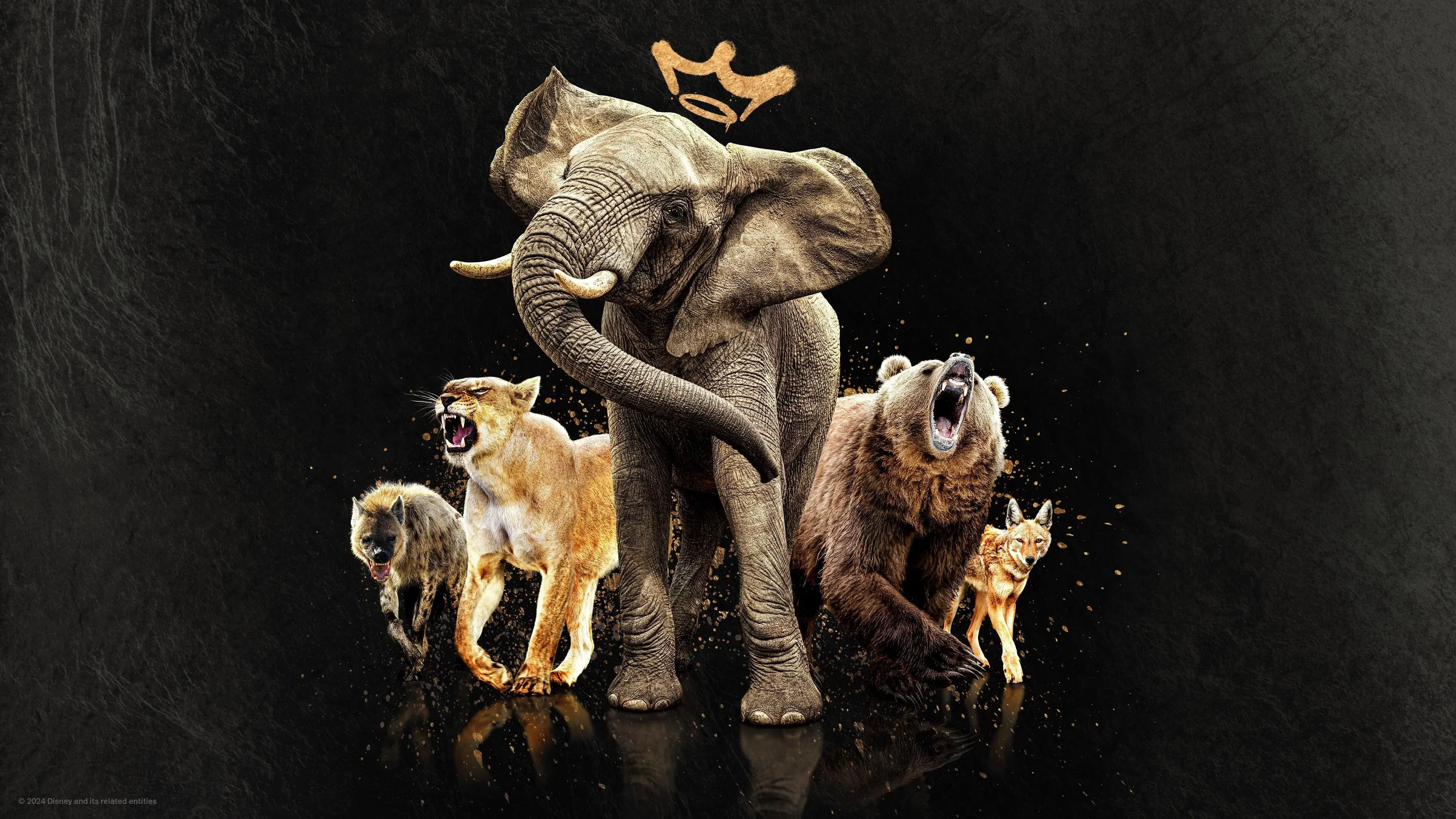 Rainhas do Reino Animal