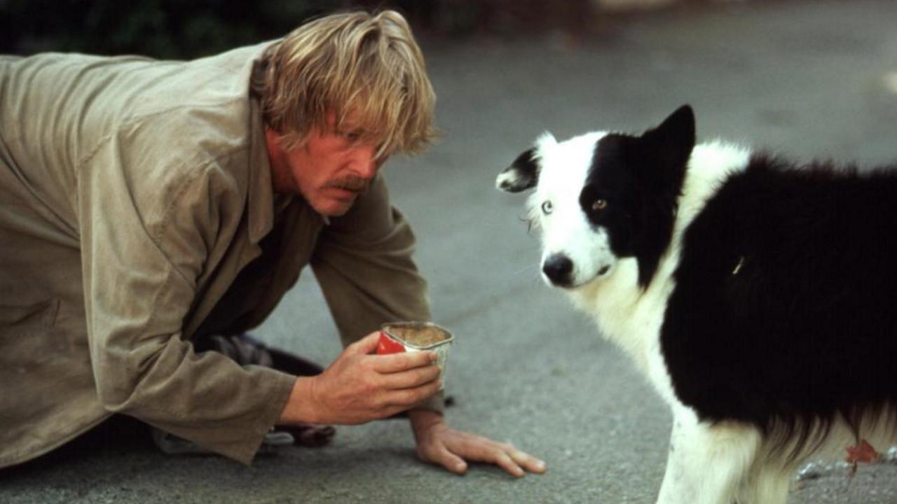 Um Vagabundo na Alta Roda