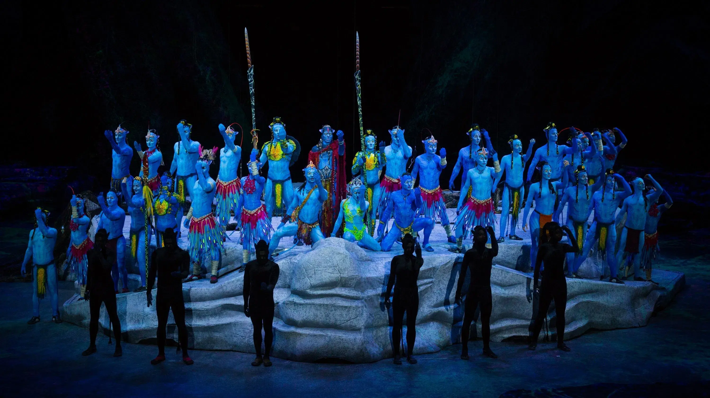 Cirque du Soleil Toruk - The First Flight