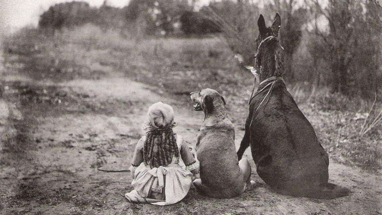 Through the Back Door