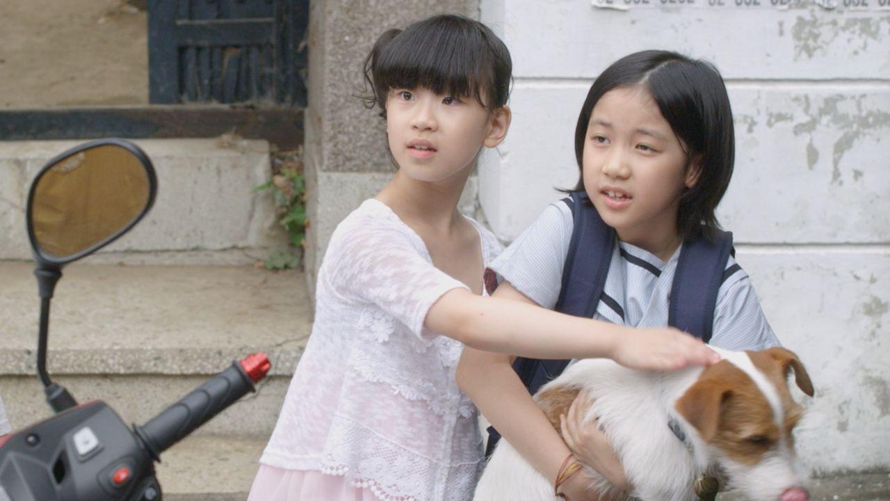 Como Roubar um Cão!