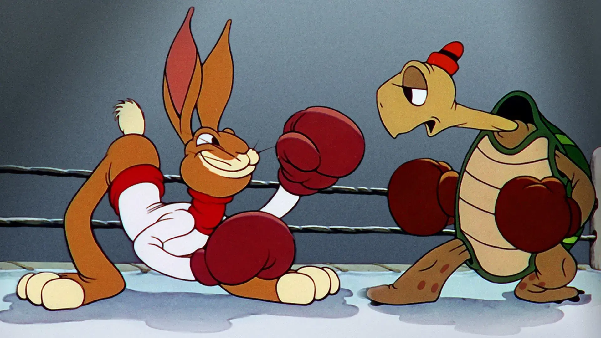 O Retorno da Tartaruga Toby