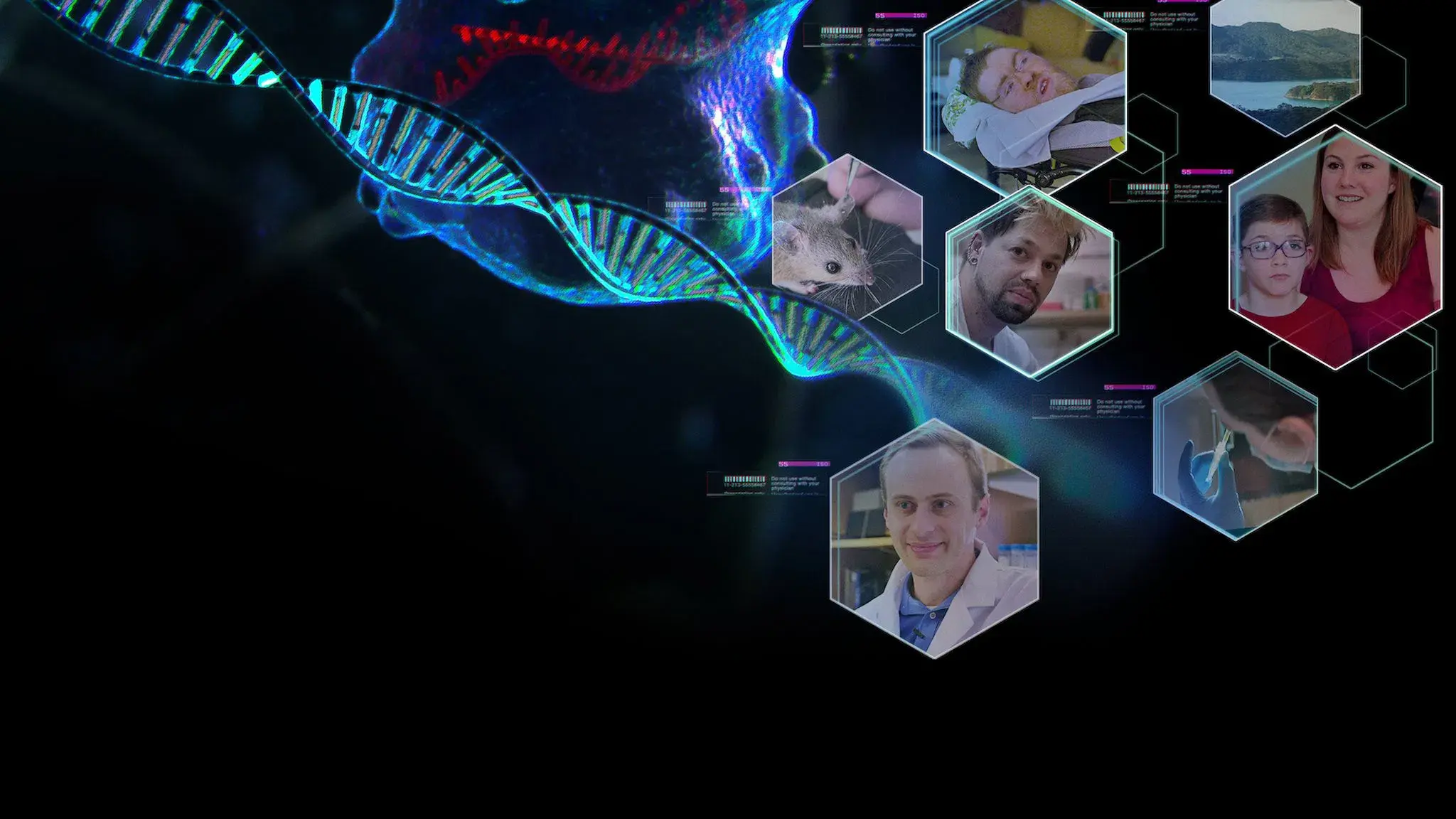 Seleção Artificial