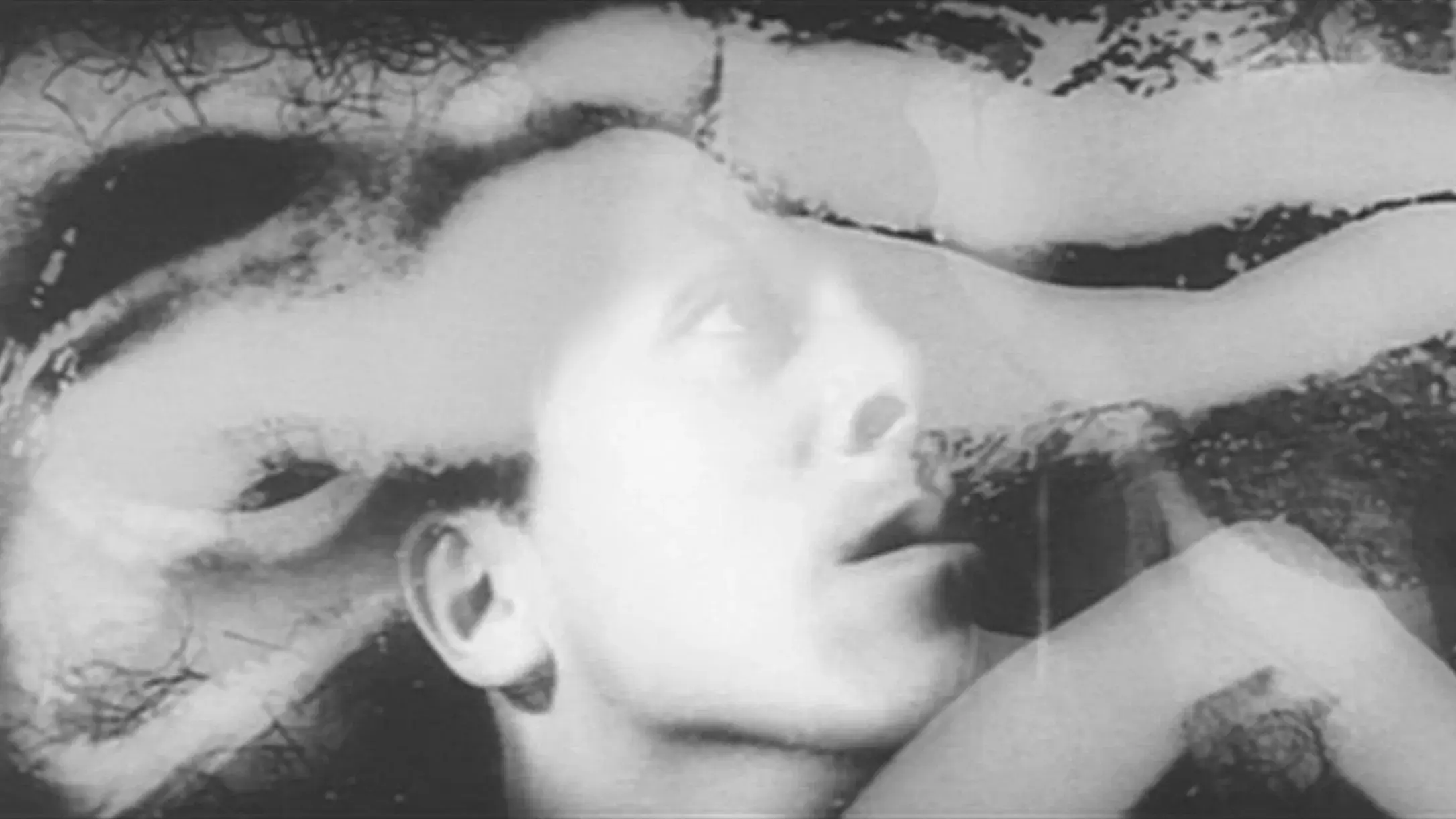 胎児が密猟する時