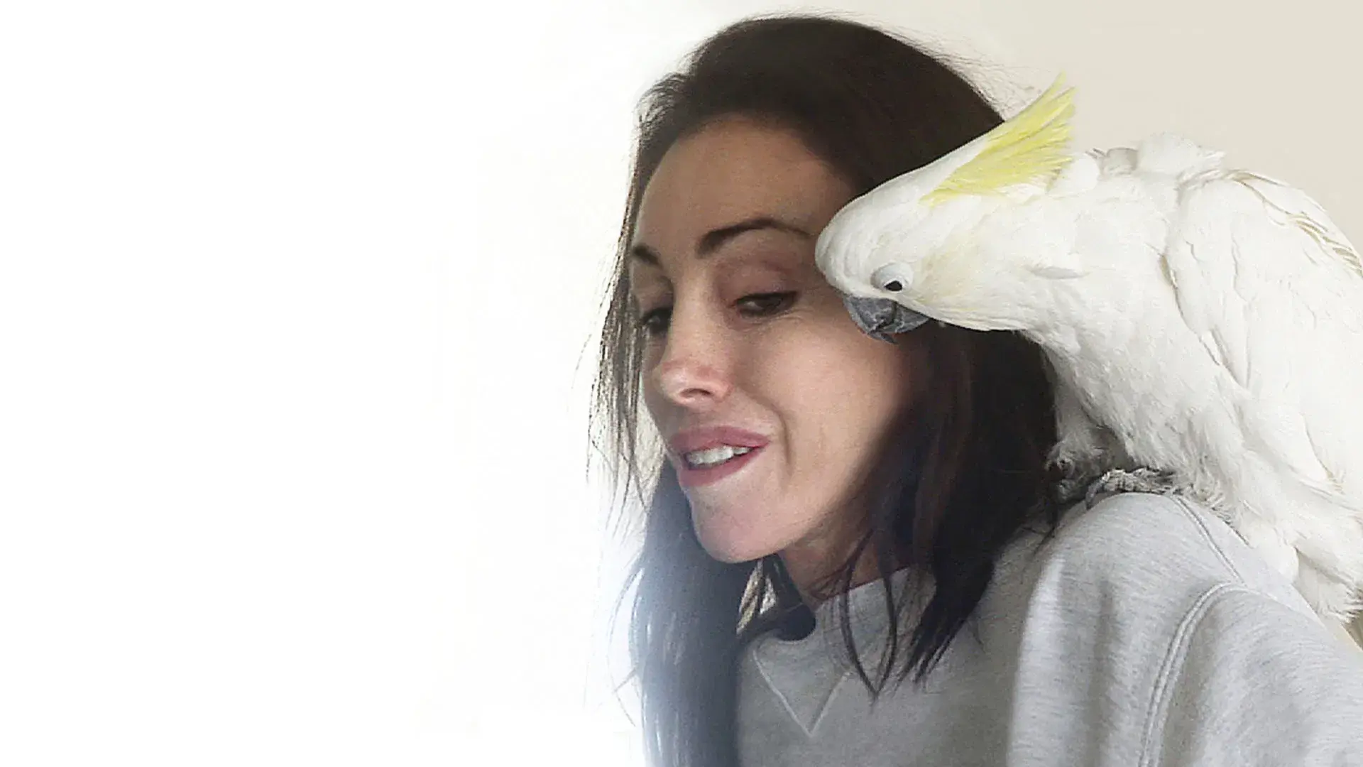 Heidi Fleiss: A Madame de Crystal