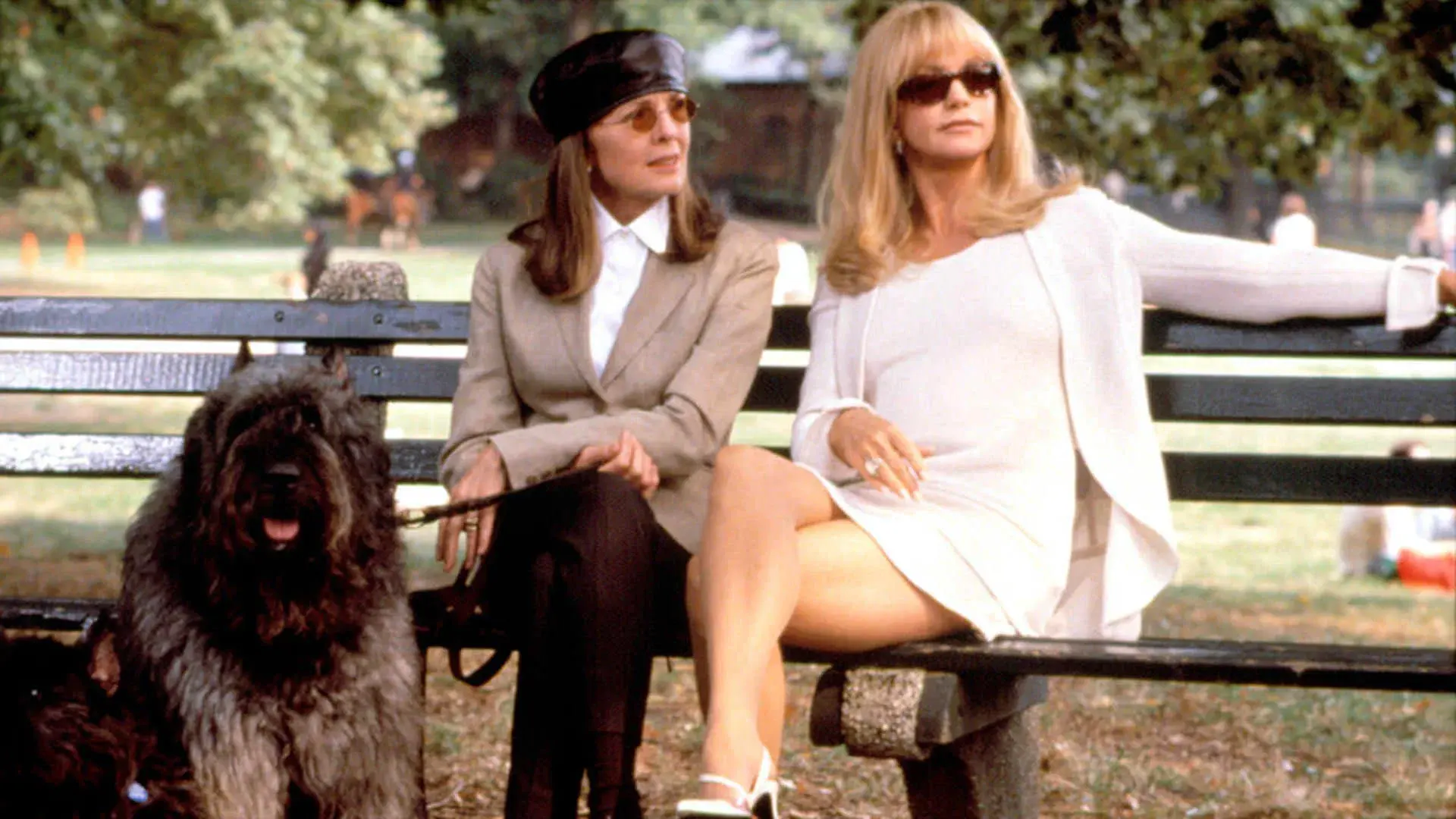 Ricos, Bonitos e Infiéis