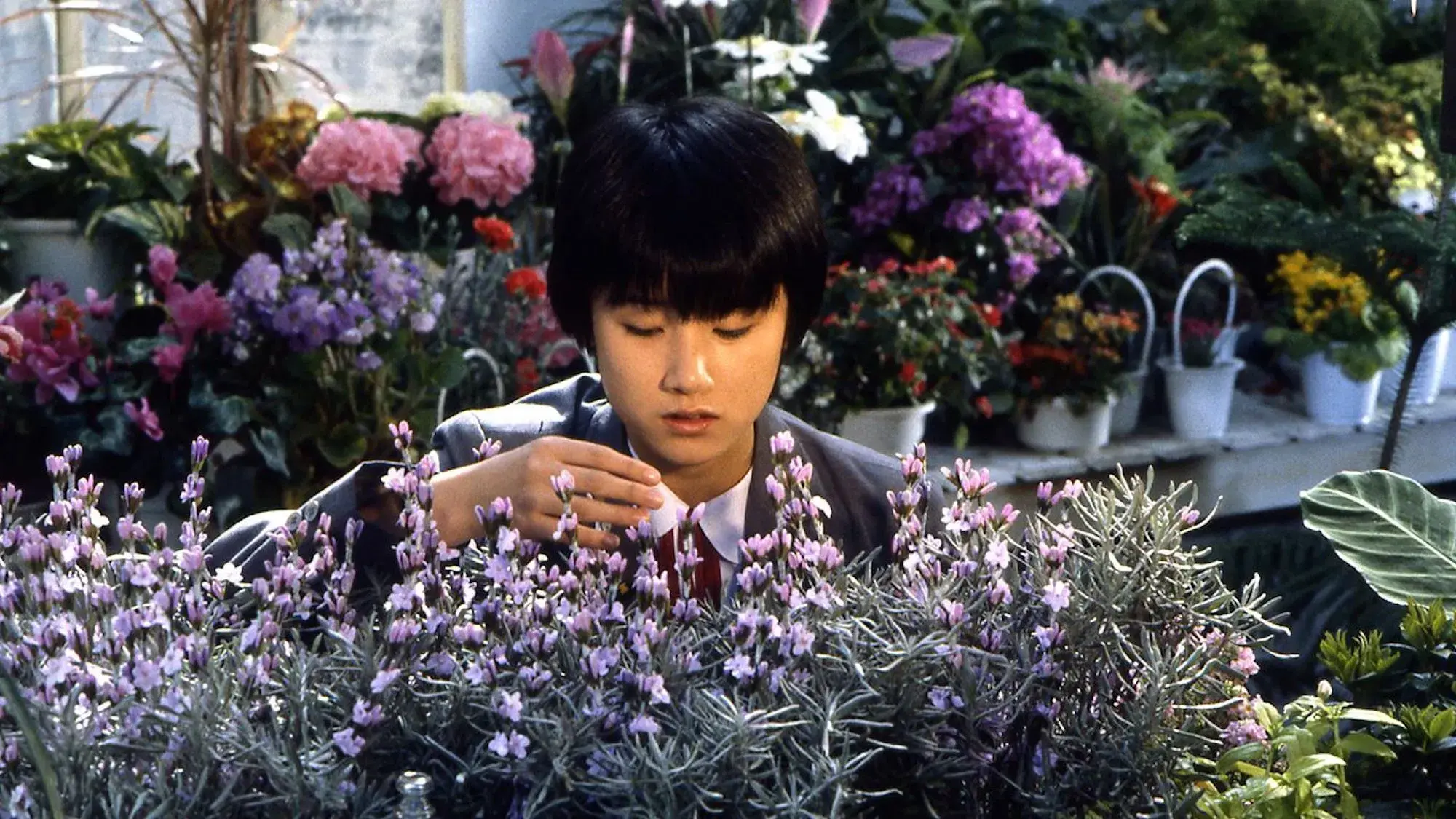 A Garota Que Conquistou o Tempo