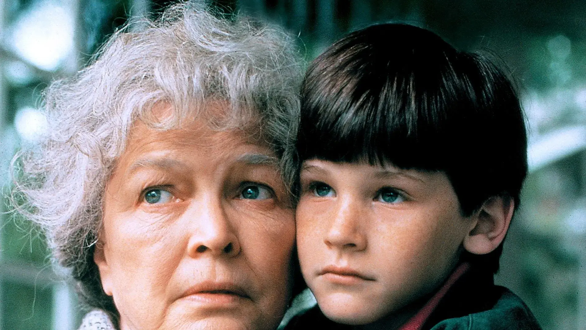 O Cavalheiro de Branco