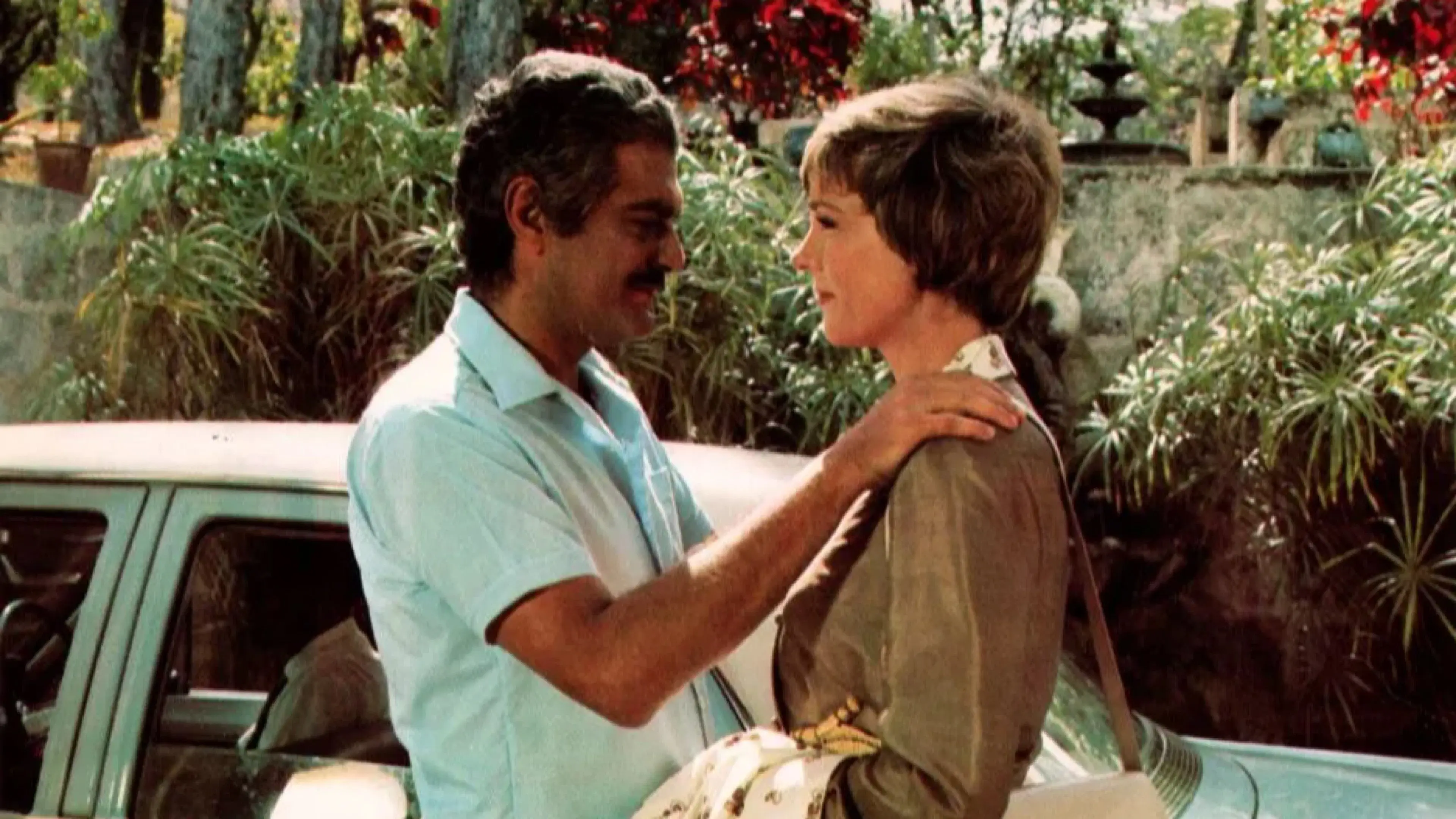 Sementes de Tamarindo