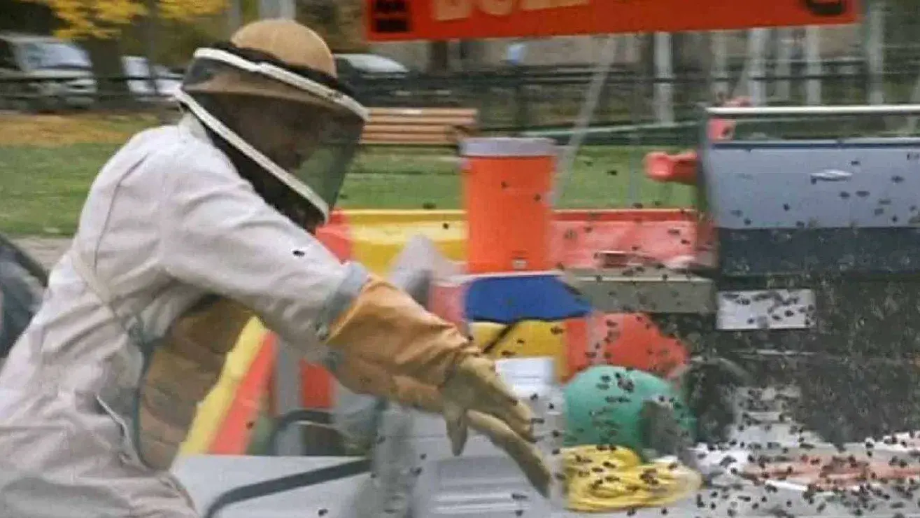 O Ataque das Vespas Mutantes