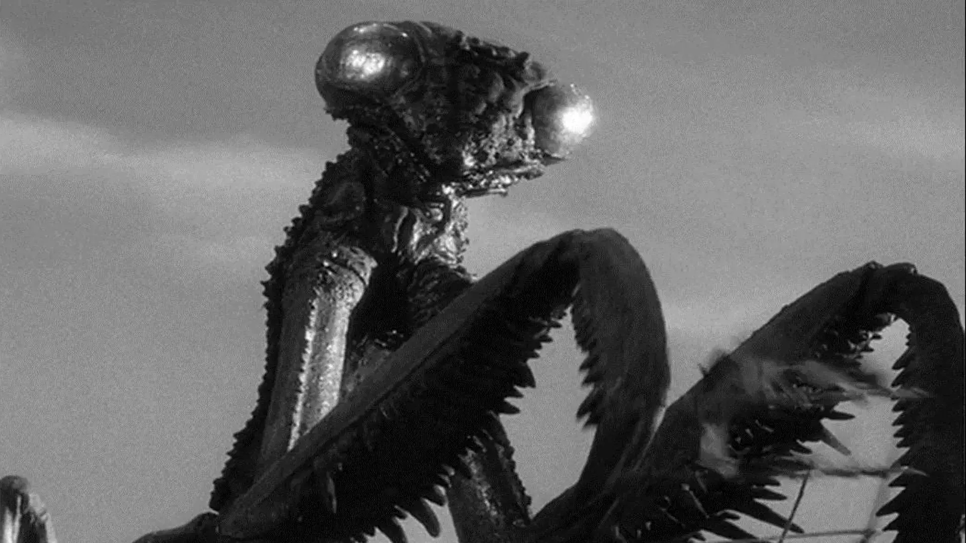 Fúria de uma Região Perdida