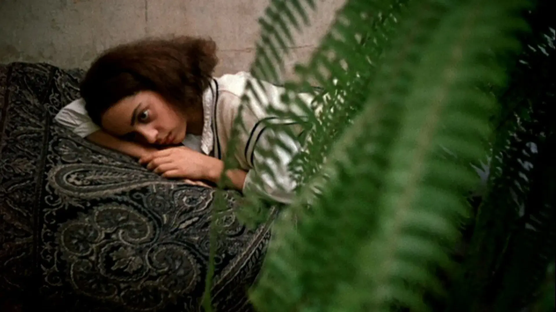 საფეხური