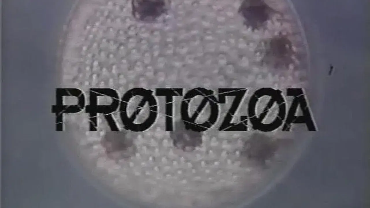 Protozoa