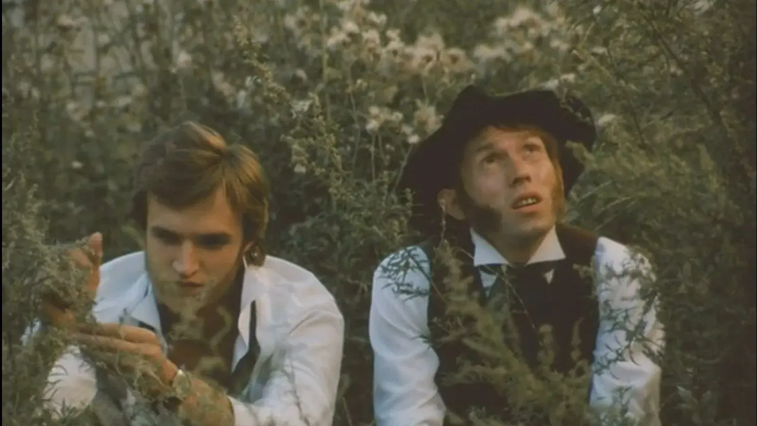 Бакенбарды