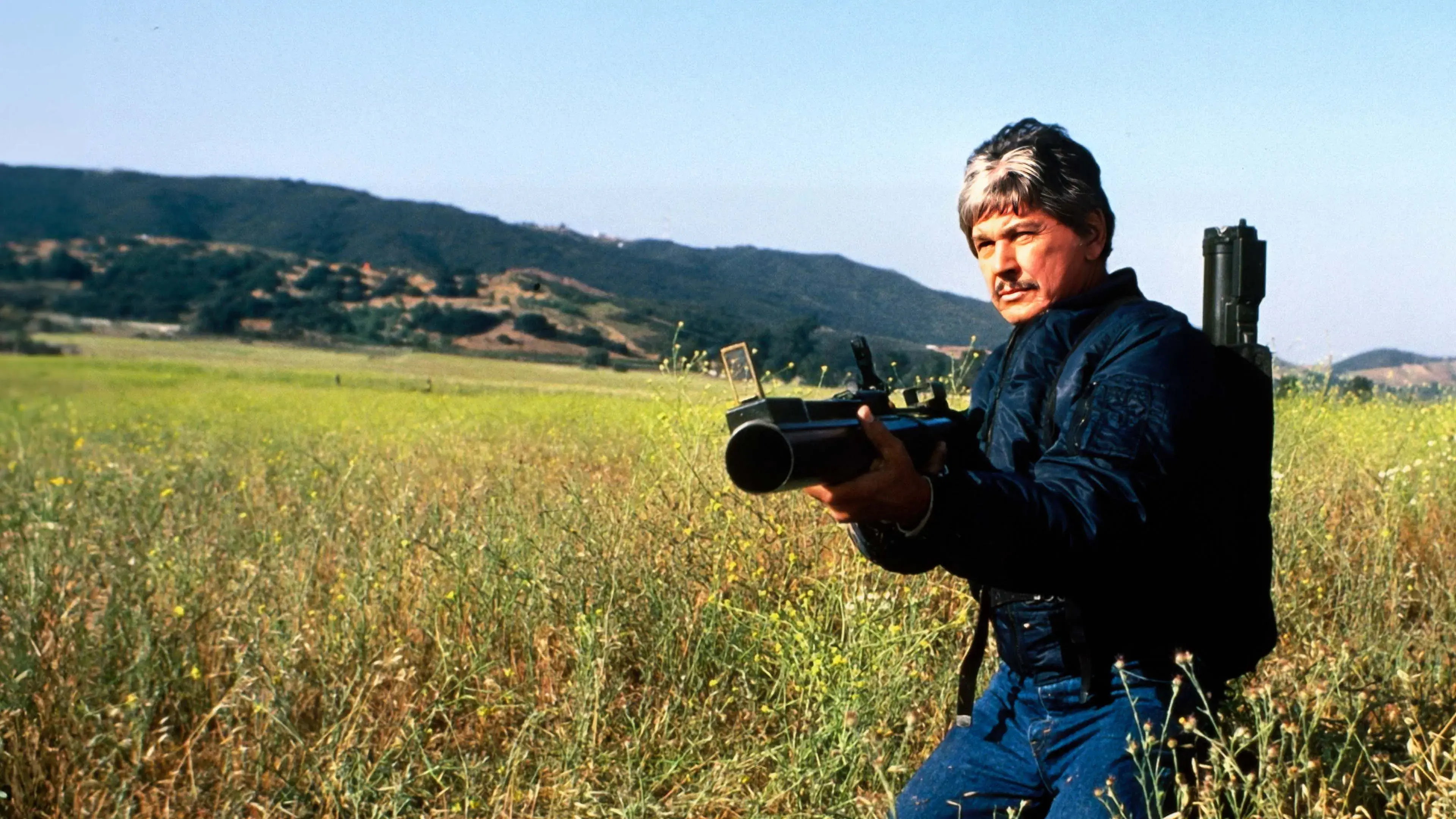 Assassinato nos Estados Unidos