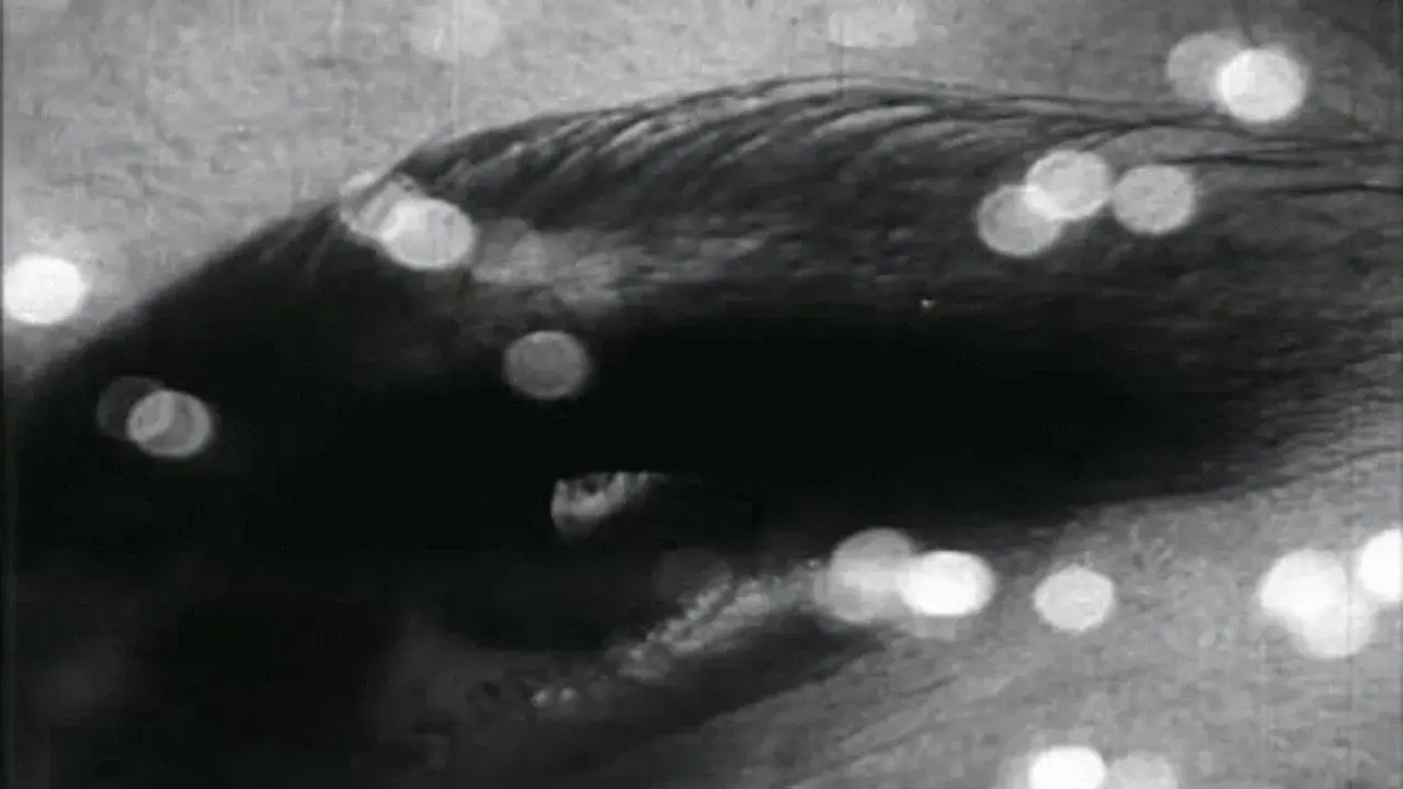 Triptih o materiji i smrti