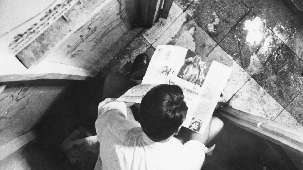 Três Tristes Tigres