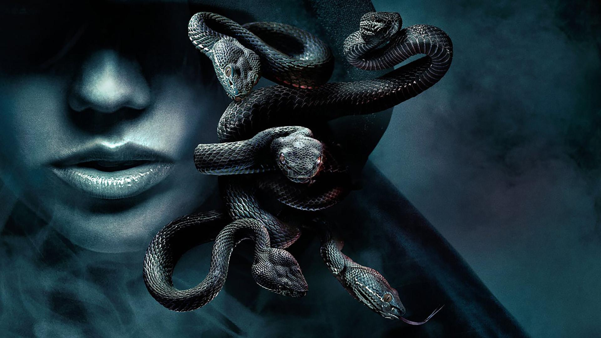 Confronto dos Deuses