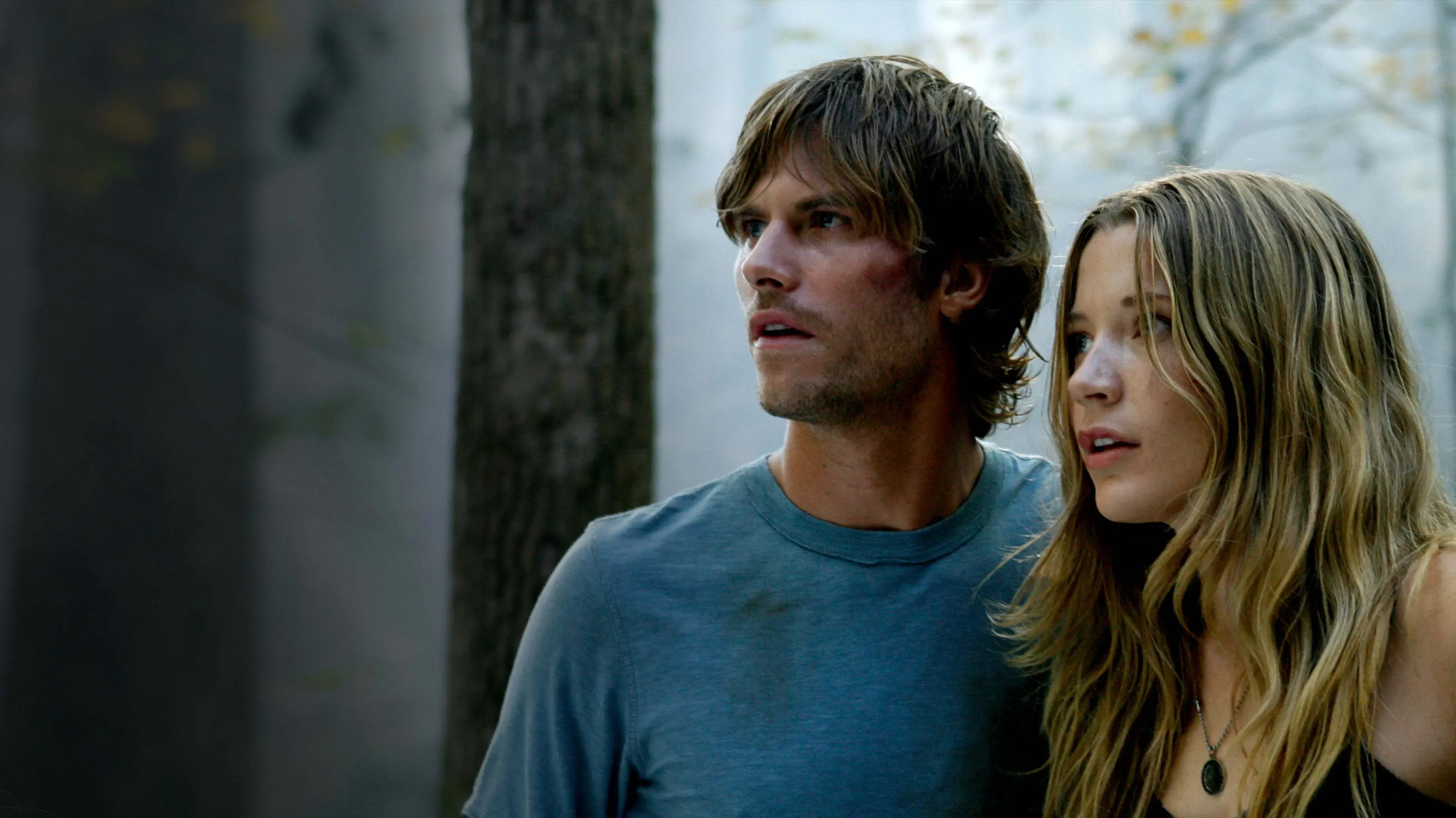 Asylum: Não Estamos Sozinhos