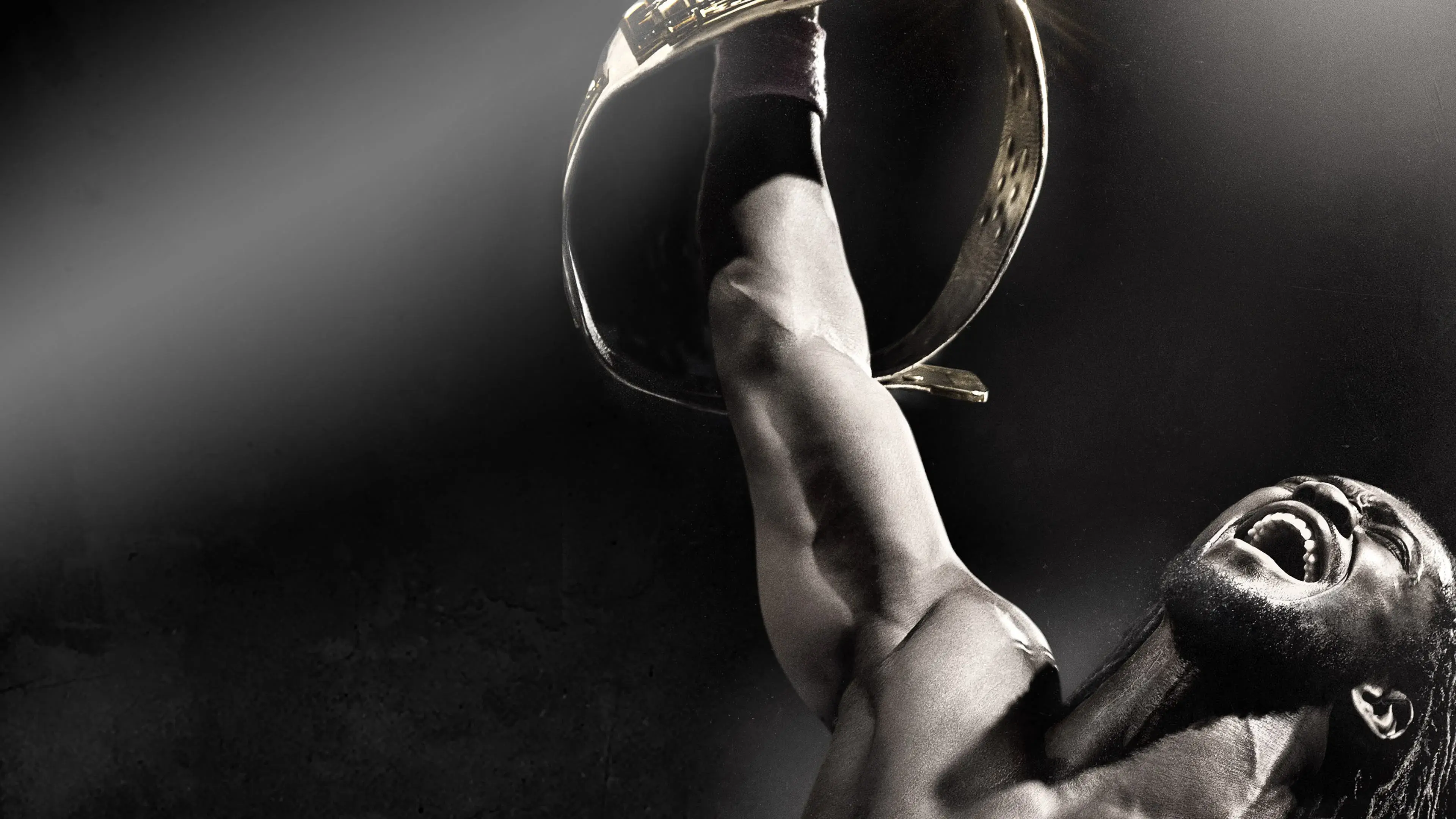 WWE Night of Champions 2013