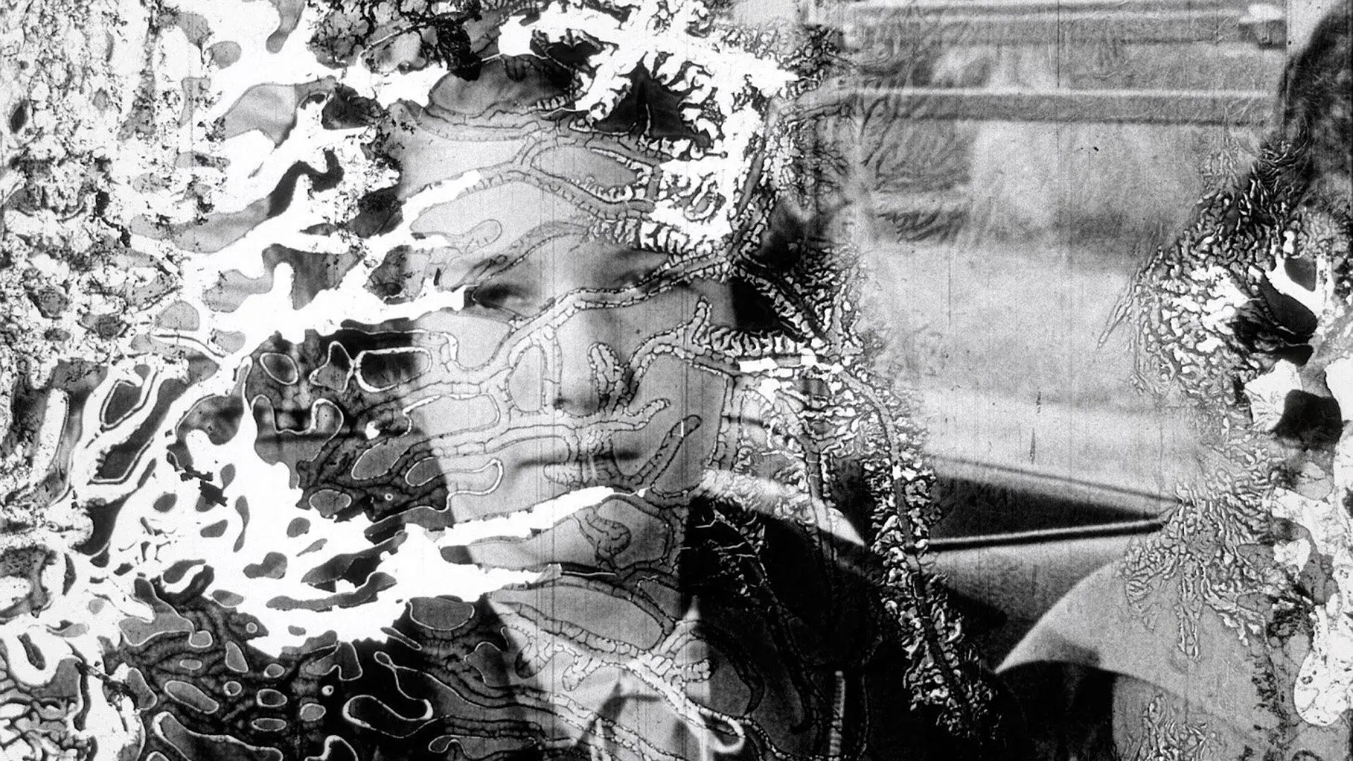 Decasia: The State of Decay