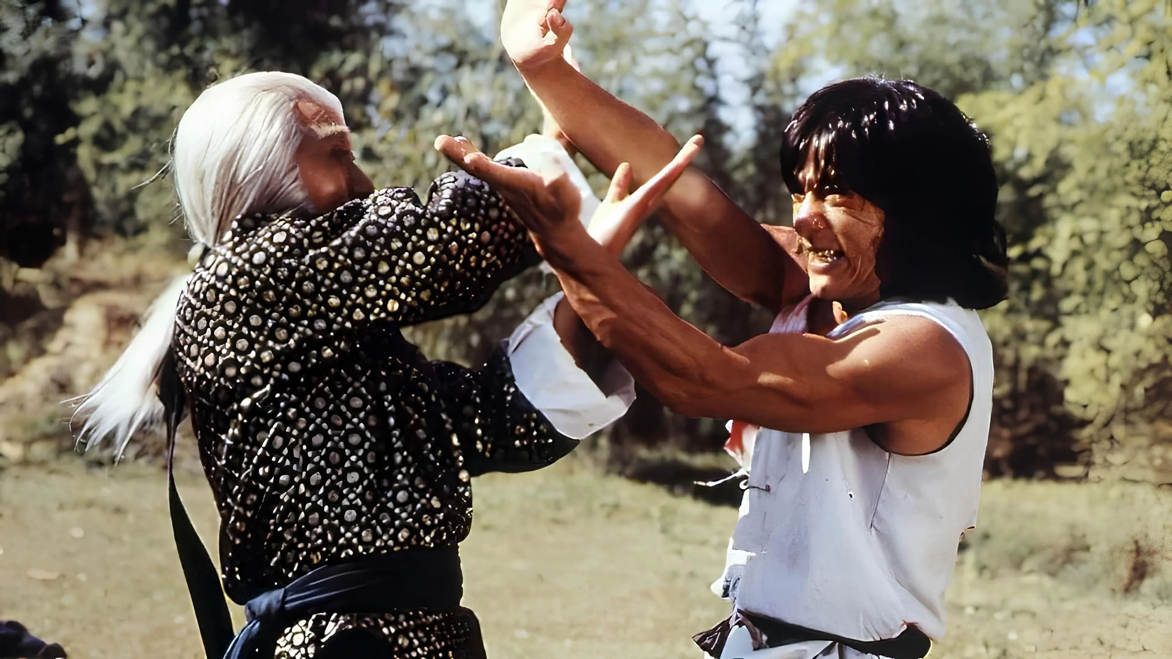 A Vingança do Dragão