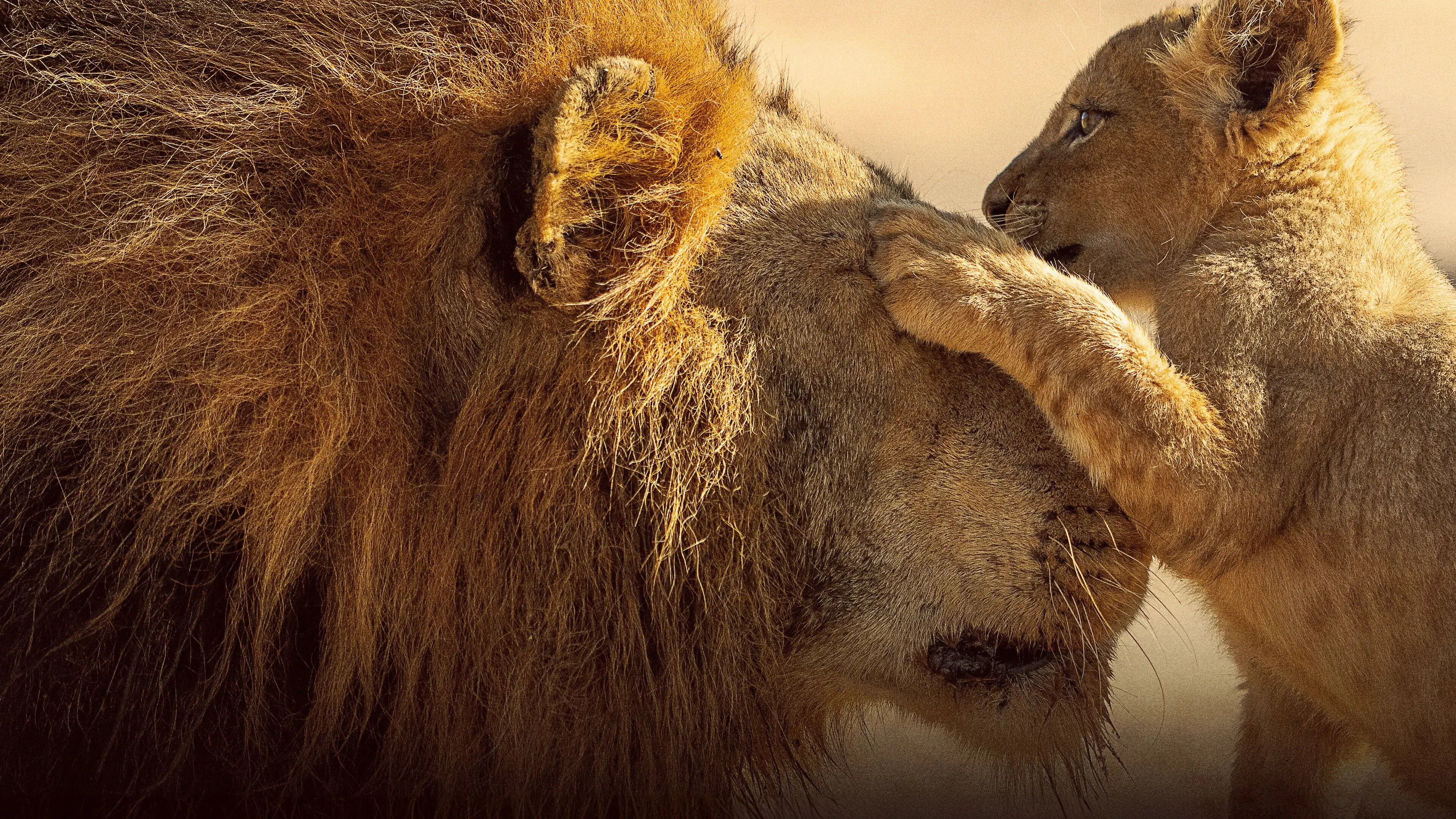 Instintos da Vida Selvagem