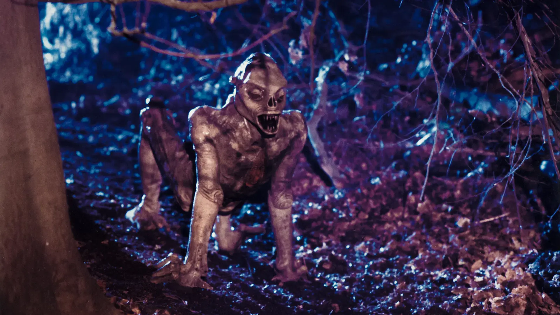 Estranhas Metamorfoses