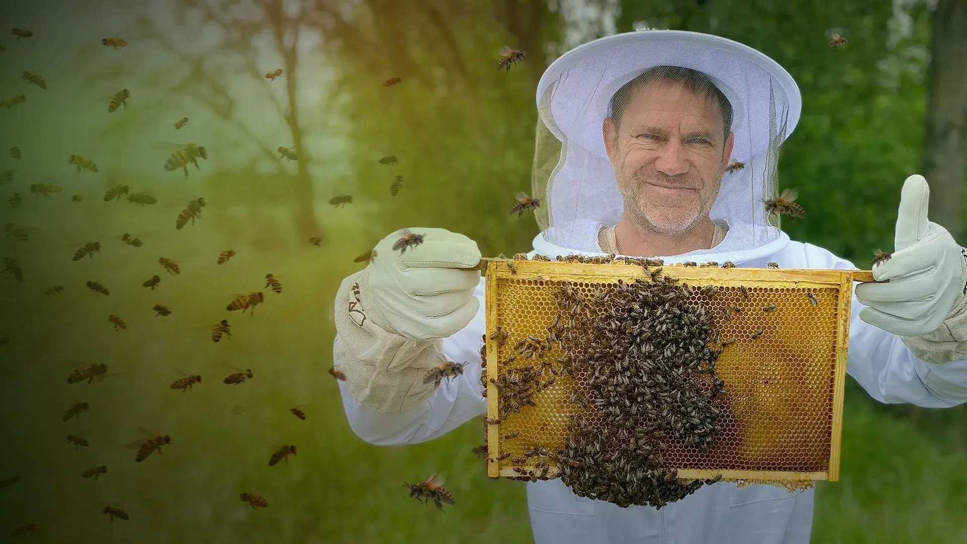 The Secret Life of Bees