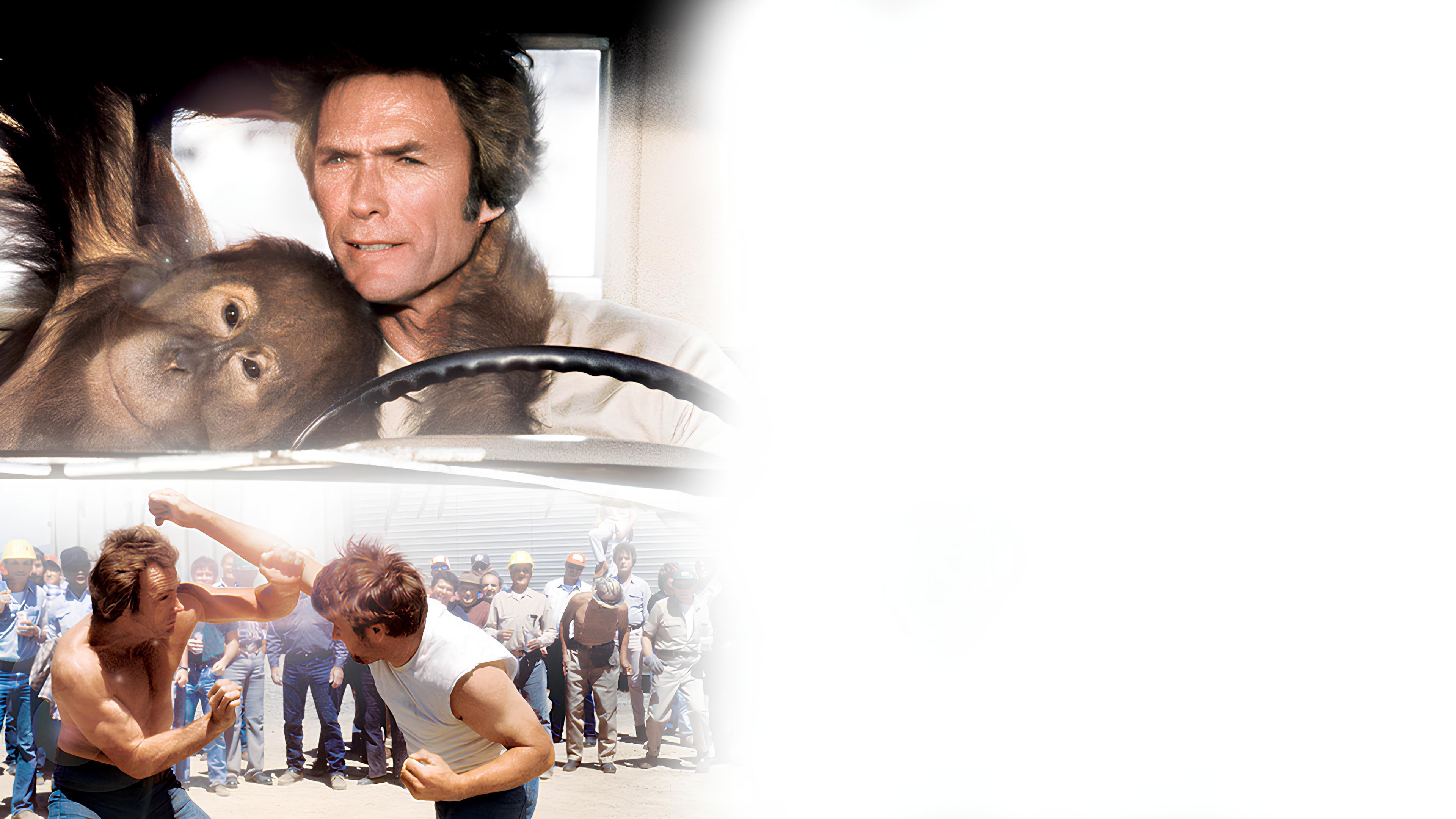 Doido para Brigar... Louco para Amar