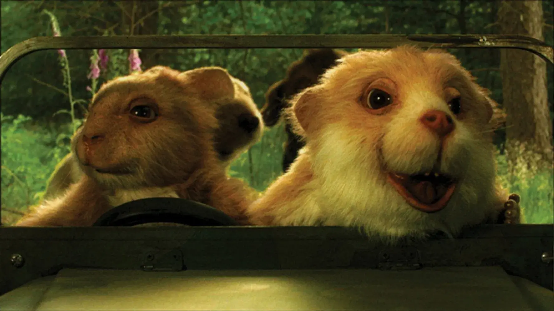 Hamster Hammy e sua Galera Animal