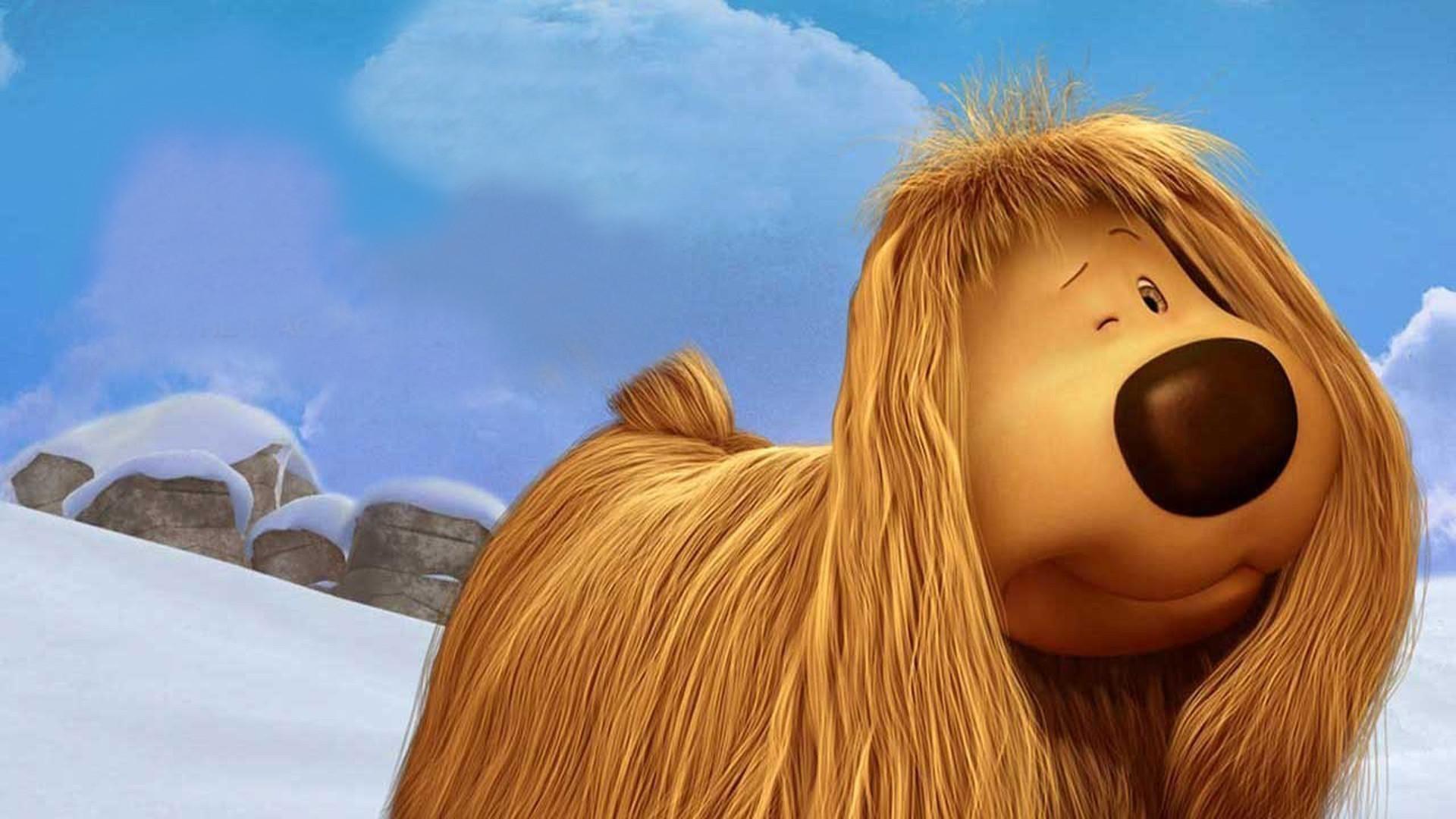 Dogão: Amigo pra Cachorro