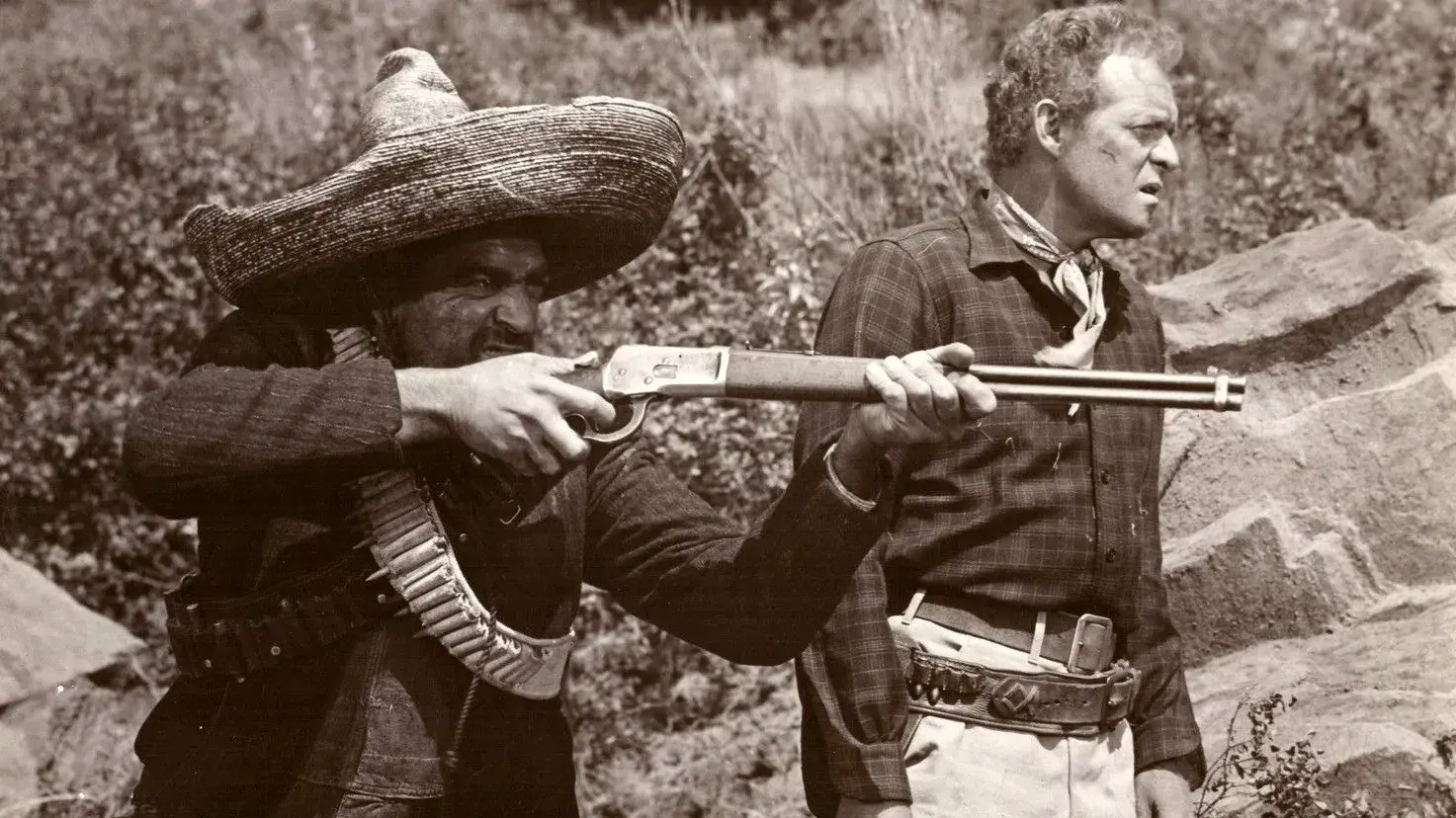 Revolta do Desespero