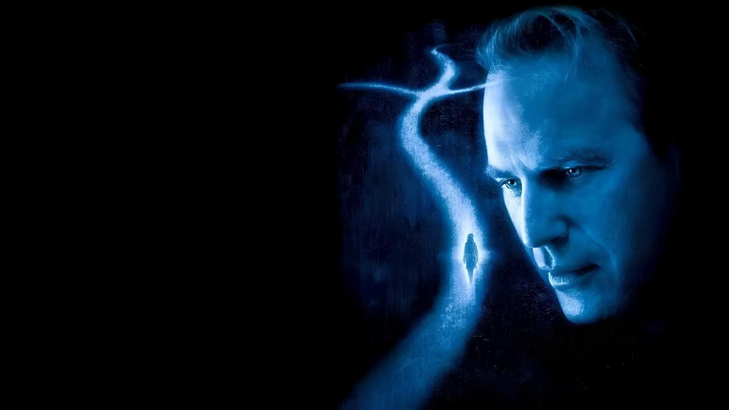 O Mistério da Libélula