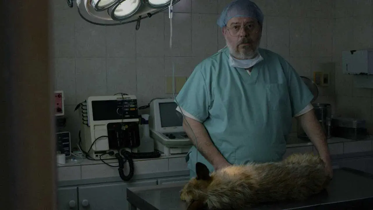 La muerte de un perro