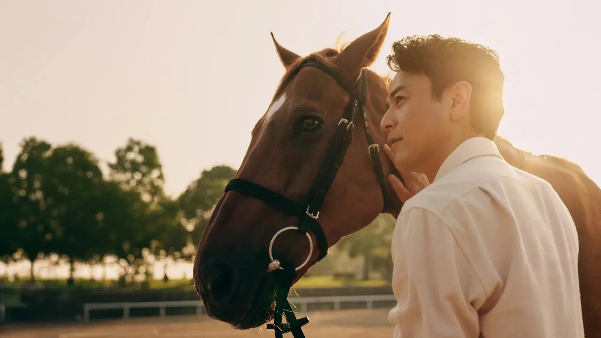 Assumindo as Rédeas