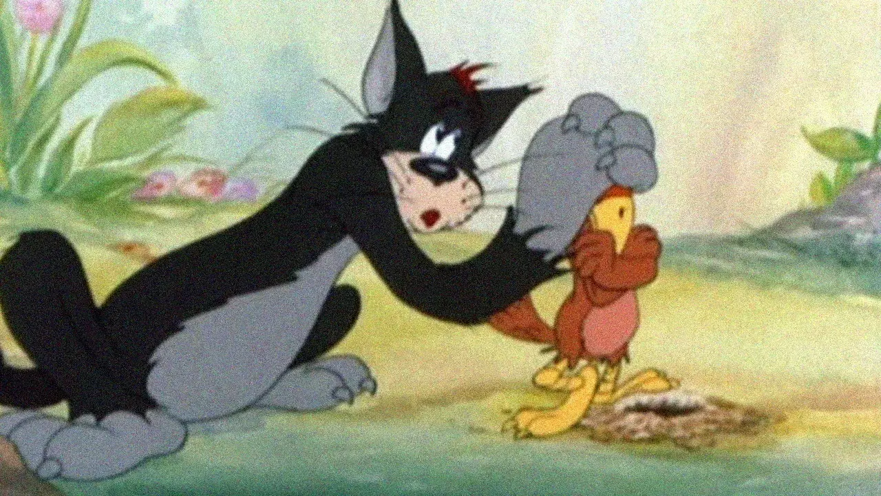 O Pássaro Madrugador