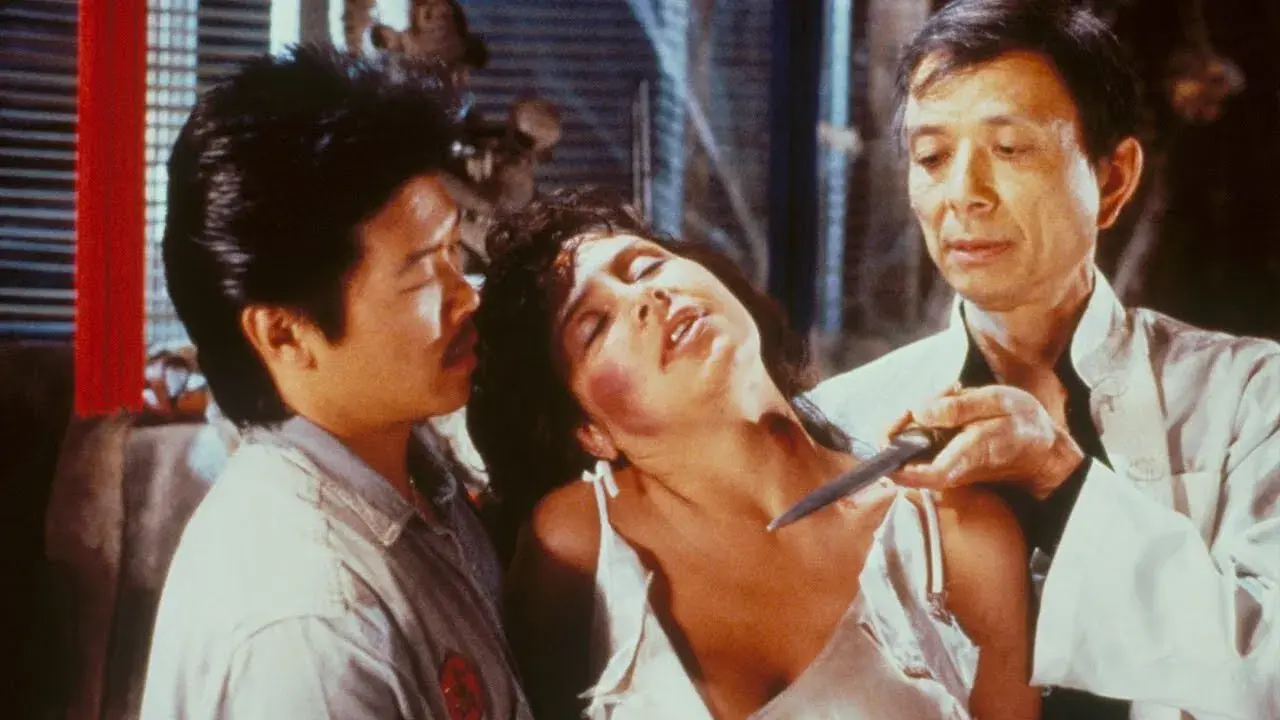 A Maldição dos Zumbis