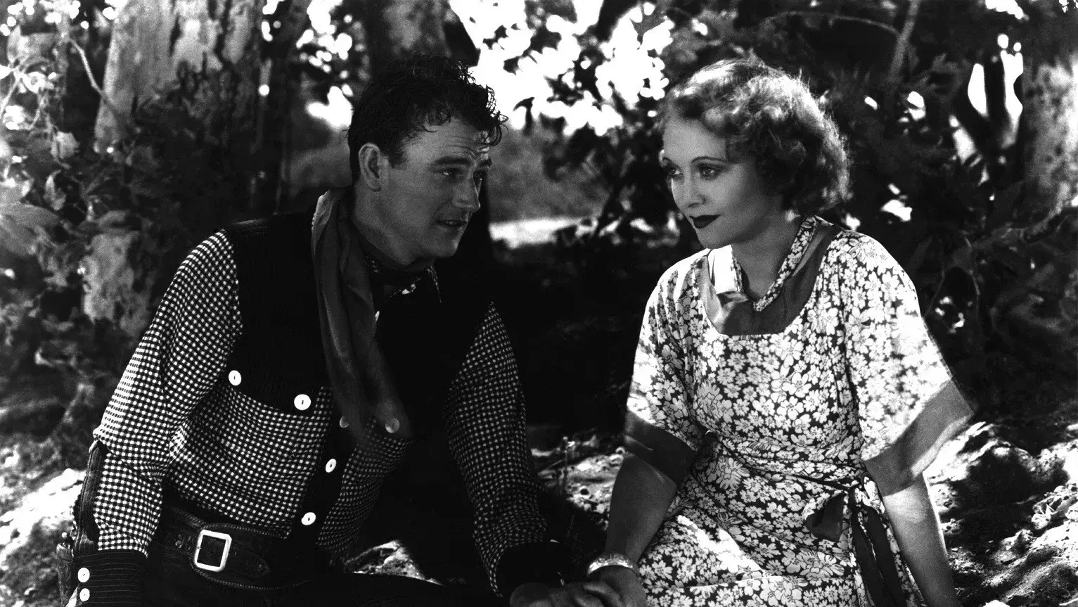 Sob o Sol do Arizona