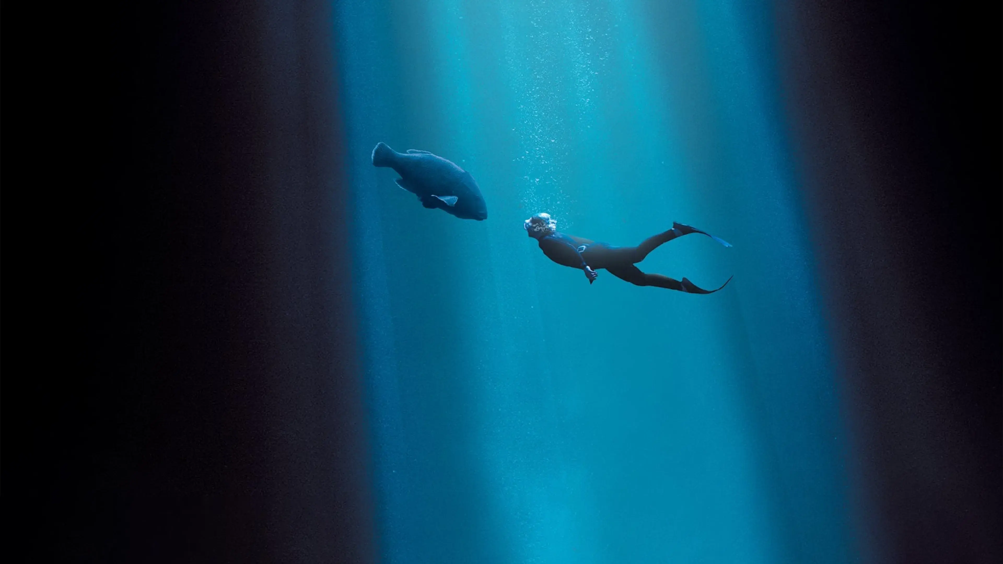 Blueback: Uma Amizade Profunda