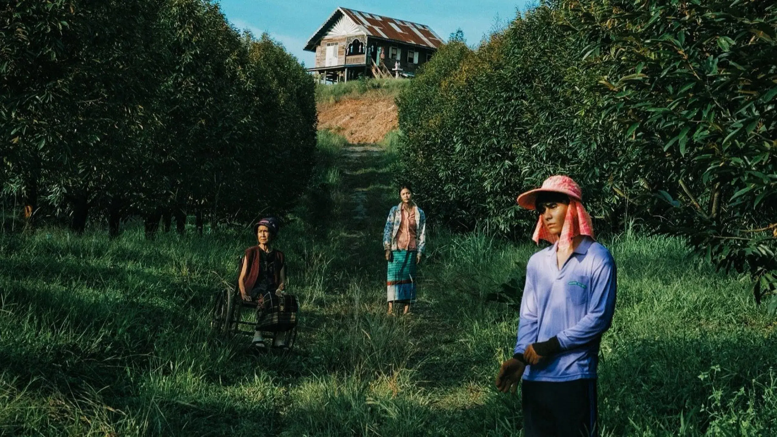 O Paraíso dos Espinhos