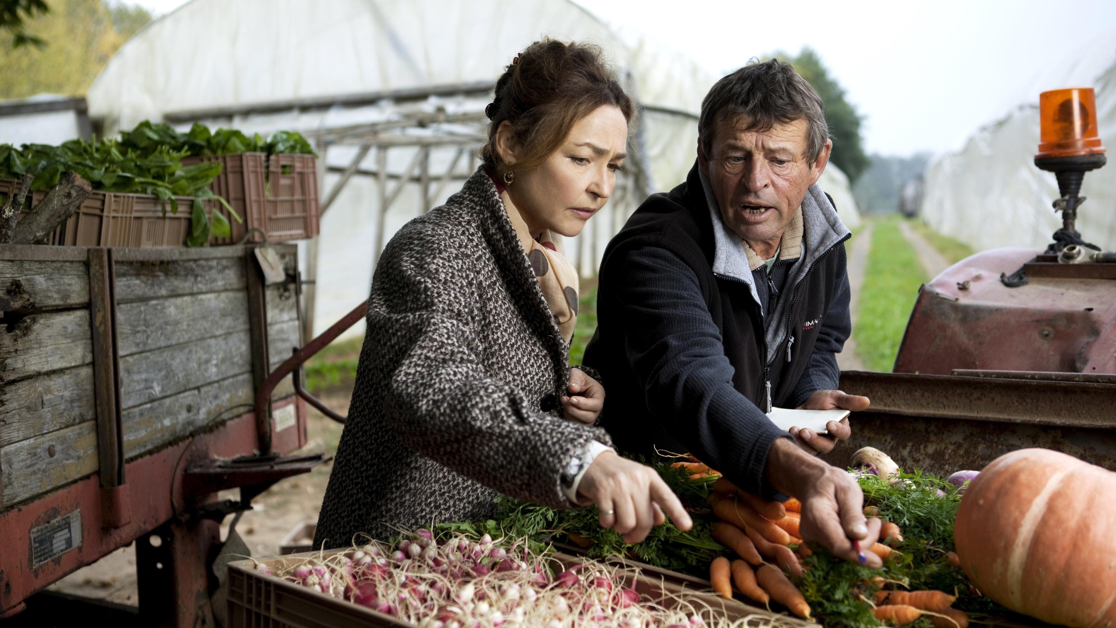 Os Sabores do Palácio