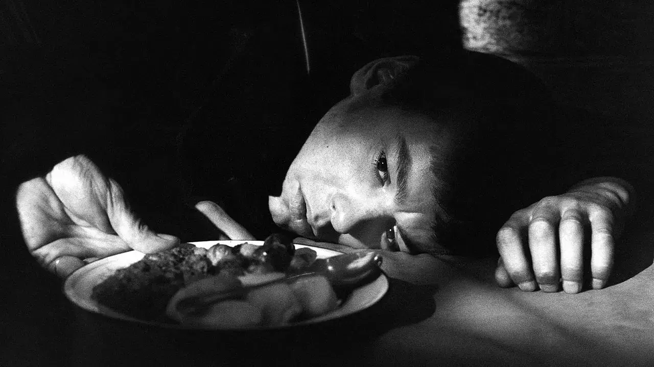 Meu Passado Me Condena